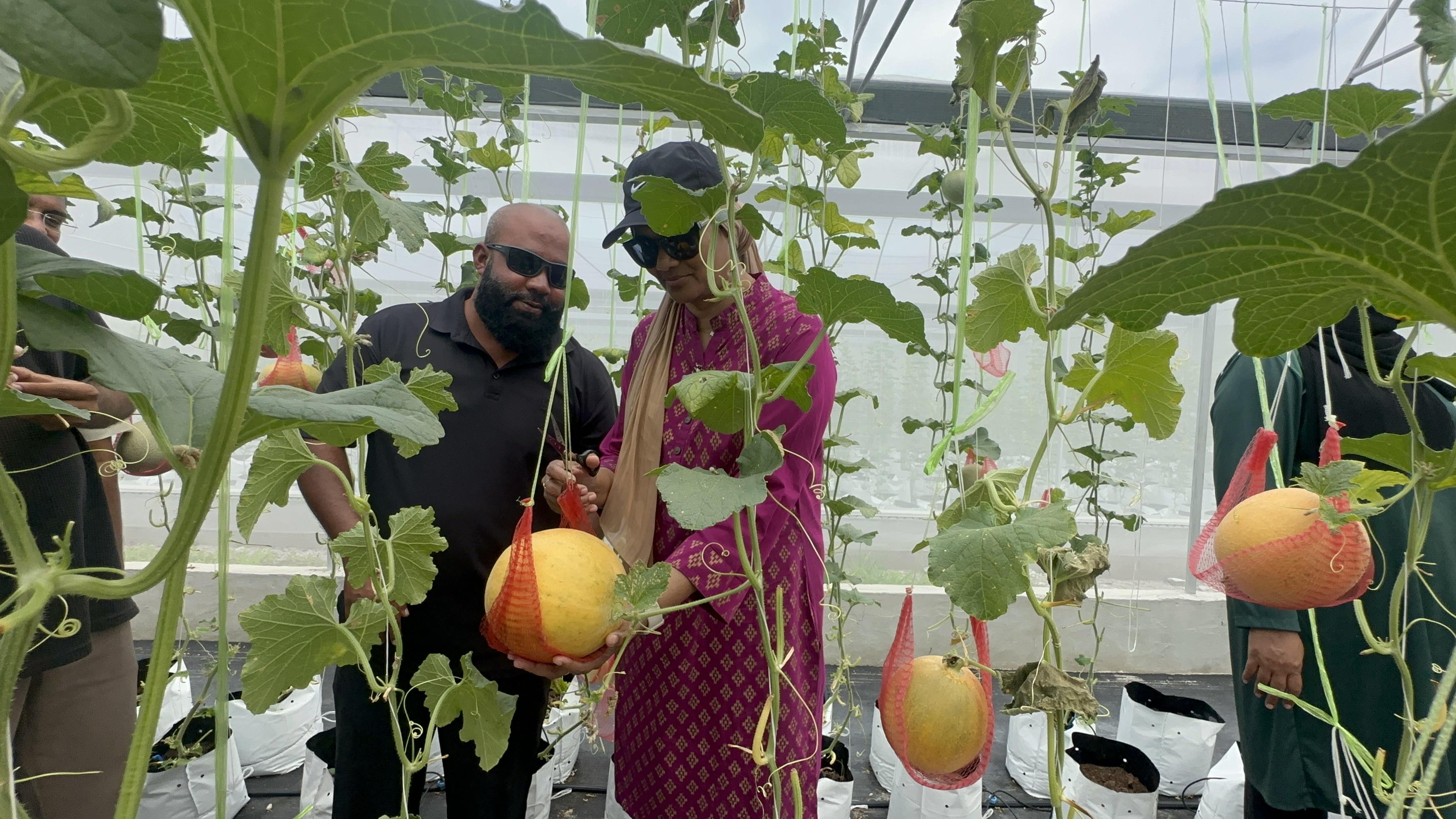 ވަޒީރު، ލ އަތޮޅުގެ ބައެއް ރަށްތަކުގެ ދަނޑުވެރިކަމުގެ ހާލަތު ބައްލަވައިލައްވައިފި