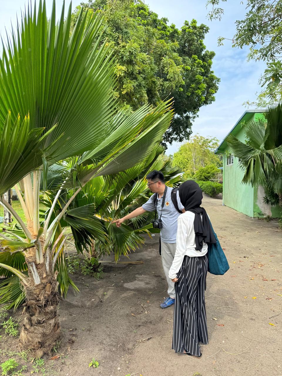 ކޮކޮނަޓް ހިސްޕިޑް ބީޓްލް ކޮންޓްރޯލްކުރުމަށް ދިވެހިރާއްޖޭގައި ނެޗުރަލް އެނެމީ ލެބޯޓަރީއެއް ޤާއިމުކުރުމަށް ޗައިނާގެ މާހިރުންގެ ދިރާސާ މަސައްކަތްތައް ފަށައިފި